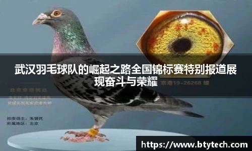 武汉羽毛球队的崛起之路全国锦标赛特别报道展现奋斗与荣耀